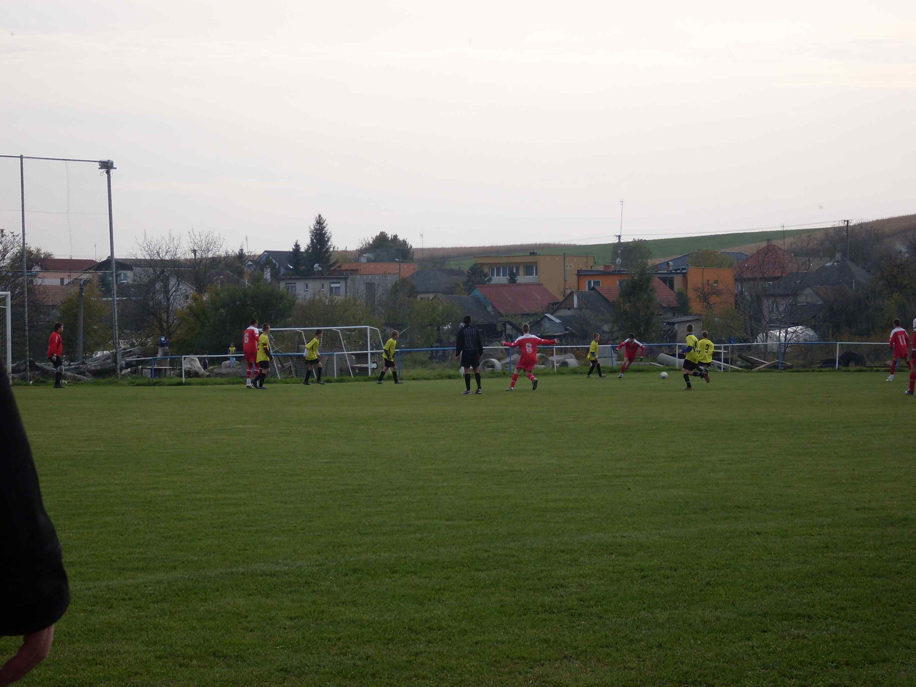 SDC14655.jpg